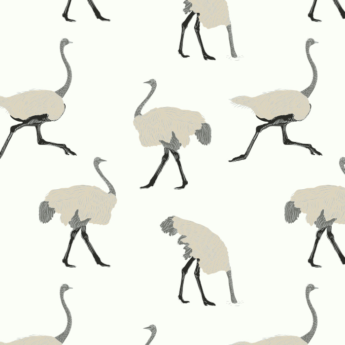 Let your fun personality shine through with our Ostrich Run Peel and Stick Removable Wallpaper. 