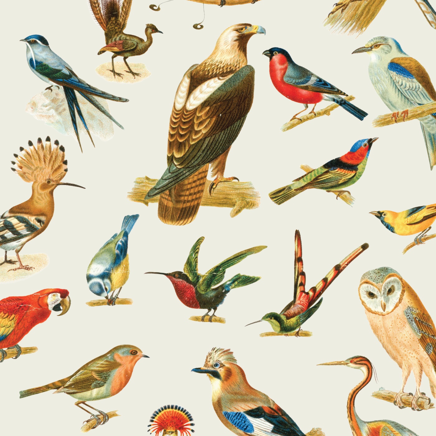 Vintage Birds Wallpaper