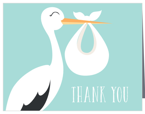 Special Stork Baby Shower Thank You Cards
