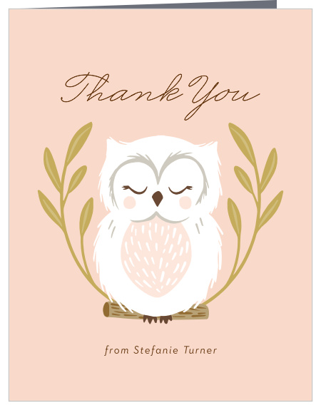 Native Owl Baby Shower Thank You Cards