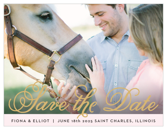 The Sweetheart Script Foil Save The Date is a sophisticated way to share your important date with your family and friends. With beautiful script to go with your amazing picture this card is the perfect decision. Customize the colors, text and font to show off your personality. 
