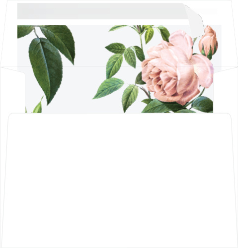 Sierra 's review image