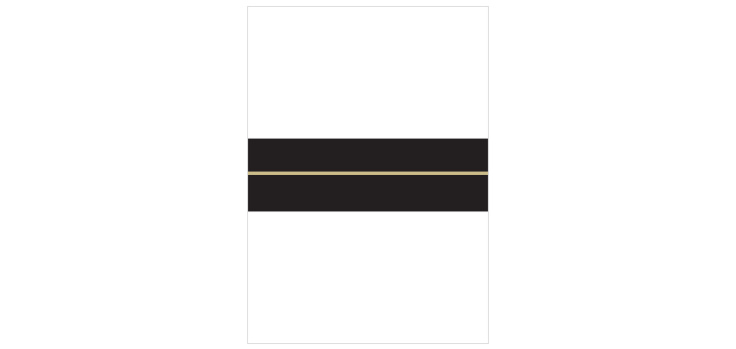 Elegant Foil Stripes Wedding Belly Bands