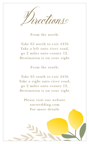 Summer Citrus Direction Cards