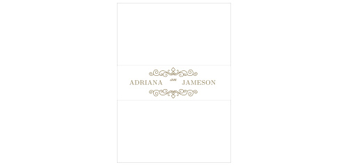 Beautiful and ornate scrolls frame your and your fiancé’s names on the Caribbean Palm Belly Bands. 