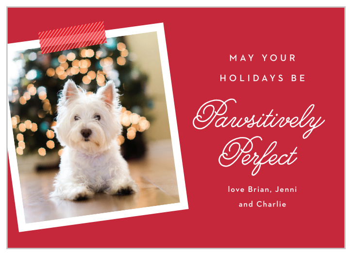 If you love your pet and want to share the joy they bring to your life with your friends, the Perfectly Paws holiday card would be perfect! 