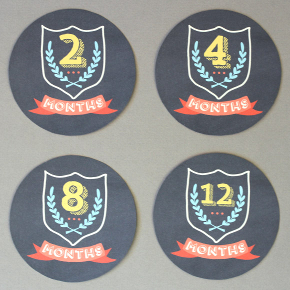 Our free month onesie stickers are a fun and unique way to capture your baby's monthly milestones in style! Available in a design for baby boys and girls, these free printable stickers are easy to download, print out on sticker paper, cut and stick. The stickers measure 4" in diameter for a perfect fit to apply on your baby's shirt, bodysuit or onesie.  Grab your camera, take some cute photos and document each of babies first 12 months. This set includes 12 monthly baby stickers and make a great baby shower gift for the mother-to-be.* Disclaimer: Please remove Baby Month Onesie Stickers before washing. Do not leave child unattended with sticker. Not intended as a toy.