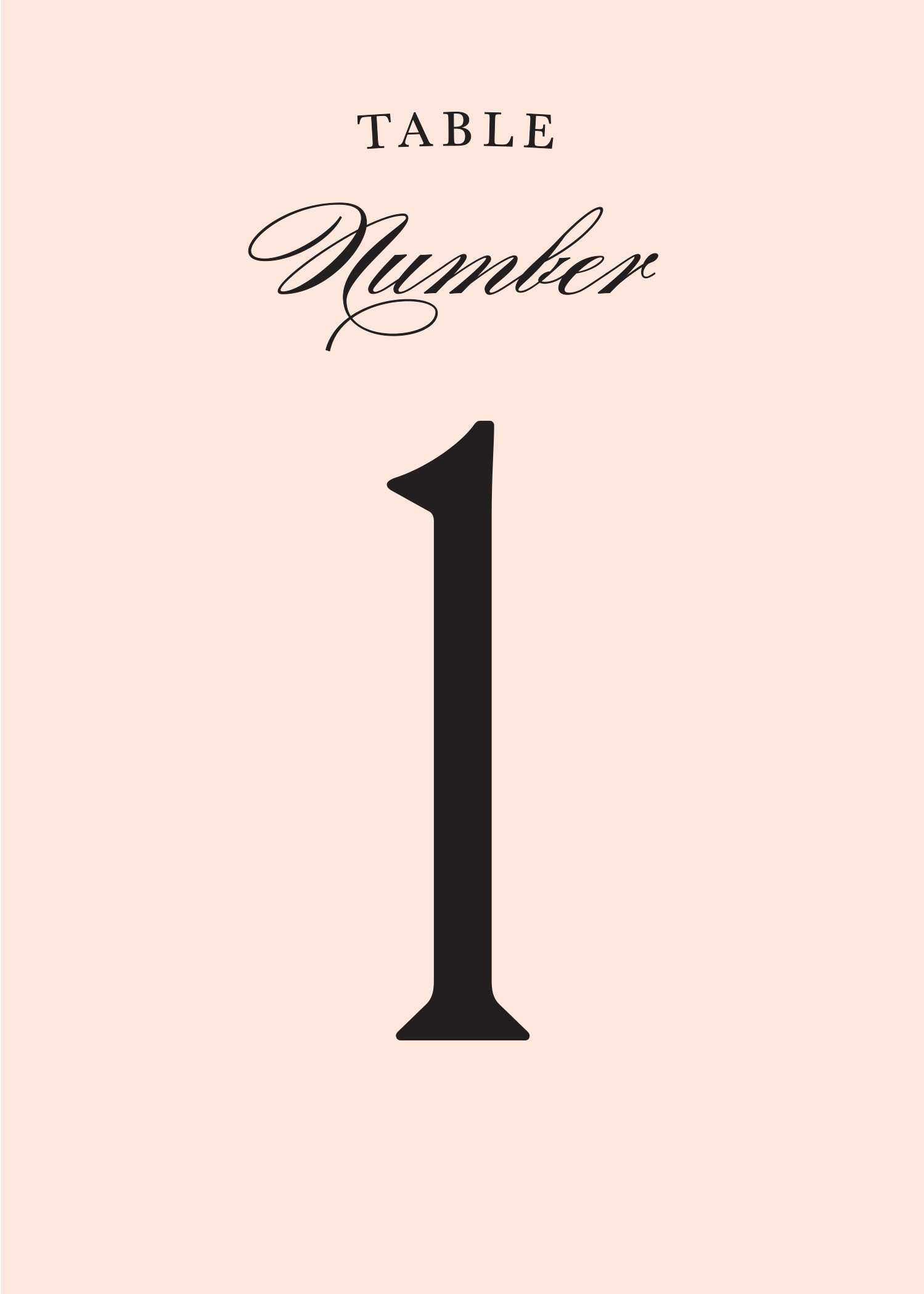 Size: 5" x 7"  Set up: 2 table numbers on 8.5" x 11" page or A4, 10 pages total. Colors: blush, black. This design should be printed on a white paper stock, the design includes a solid color background.Available in the numbers 1 through 20. No printed table numbers will be mailed to you. After you purchase this digital item, you can instantly download your PDF to print on your own. 