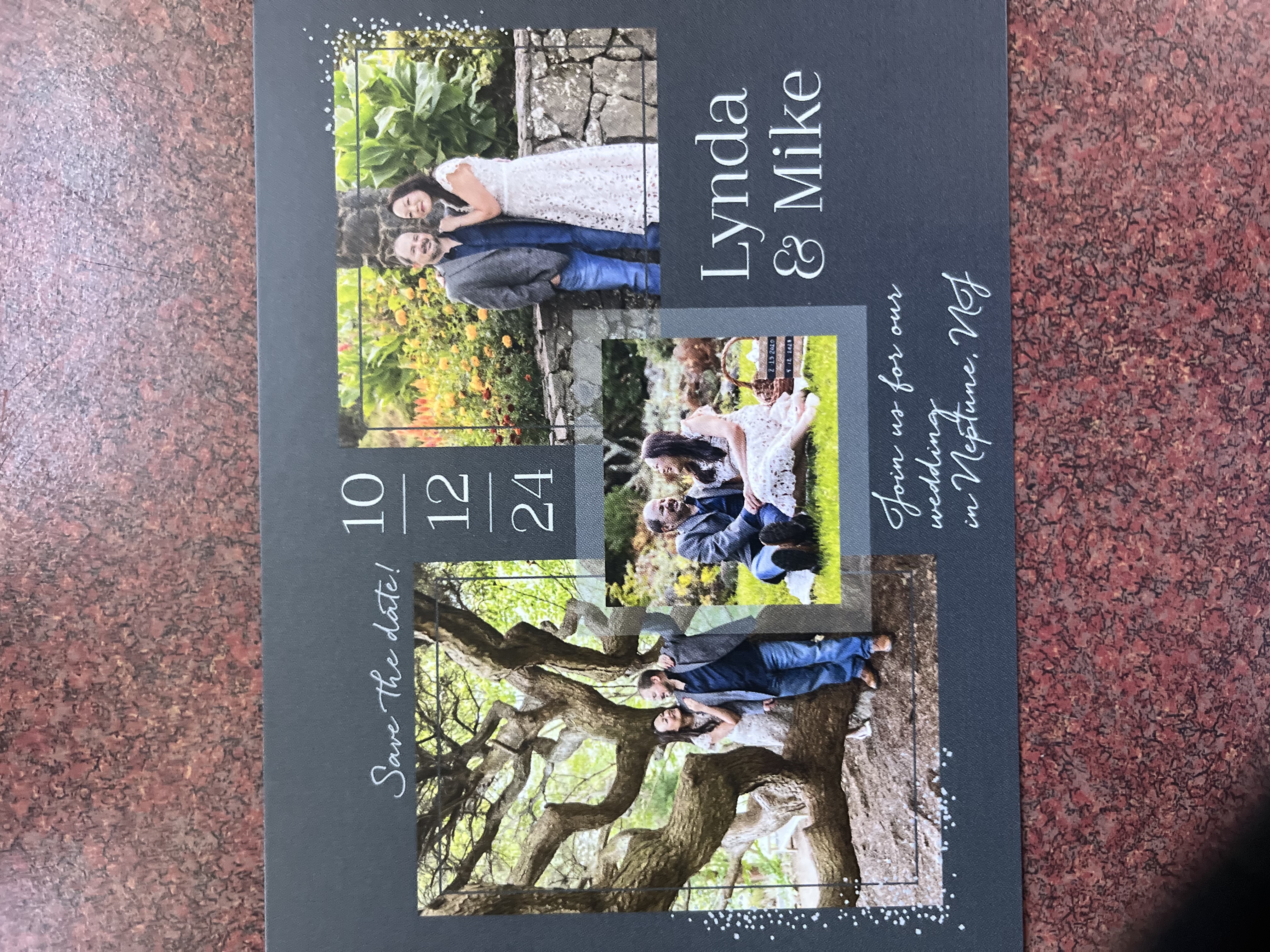 Lynda's review image