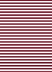 Image for Cap and Stripes Graduation Announcement Back option